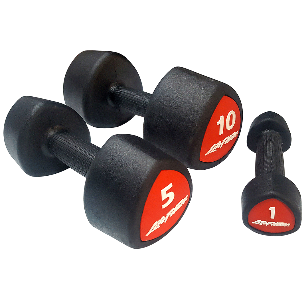 MANCUERNERO VERTICAL 1 A 10 DBRK110 LIFE FITNESS - Imagen 2